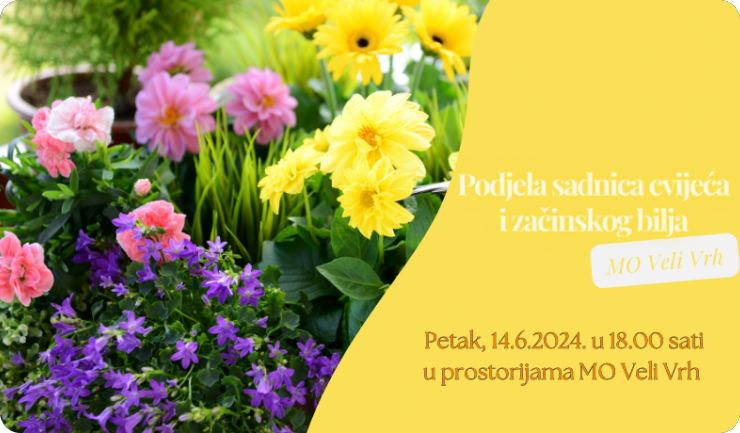 Velovršani, dođite na podjelu sadnica cvijeća i začinskog bilja-145472