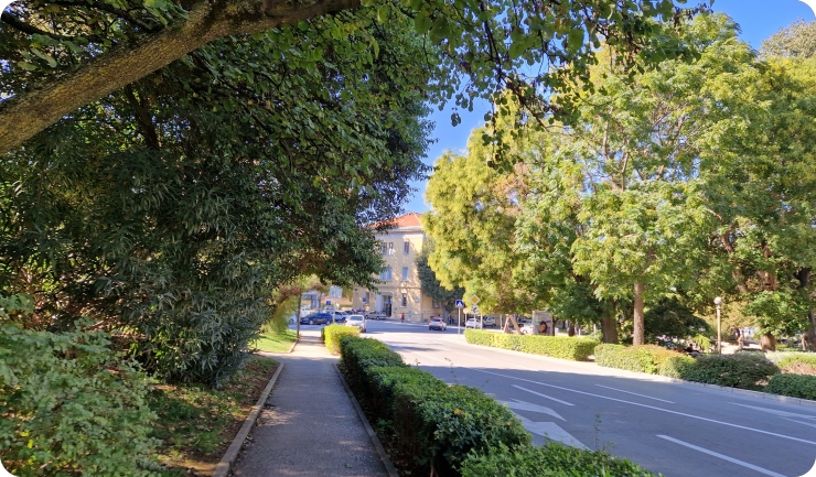 Nova mapa zelenila u Puli: pogledajte gdje se sade i uklanjaju stabla-147667