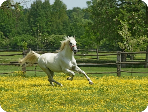 Proljeće je stiglo, a s njim i novi val kulturnih događanja-143726