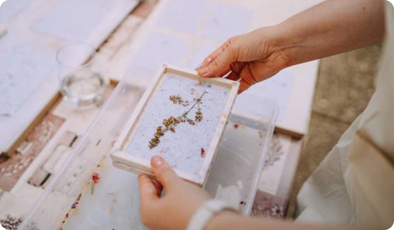 Ljeto u parku, Istarski festival pašte, Cirkoval, koncerti, radionice, otvorenje izložbi…-145935