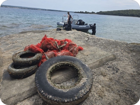 Ronioci čistili podmorje Brijuna. Iz mora izvukli gume, plastiku, boce i staklo-160531