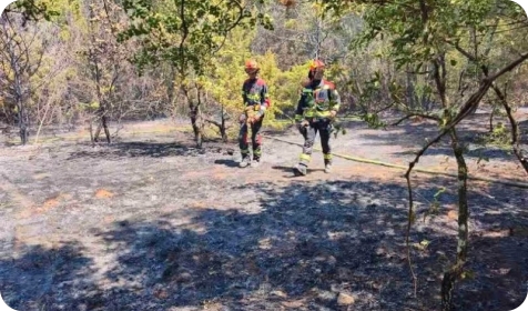 Vatrogasci gasili požare na tri lokacije u Istri-162559