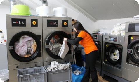 “IstraNest i Molletta” profesionalno čišćenje i praonica rublja na jednoj adresi u Puli (VIDEO)-157174