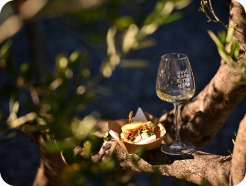 U Medulin stiže Wine & Gastro! Posjetitelje očekuju vrhunska vina, delicije i besplatan ulaz-164126