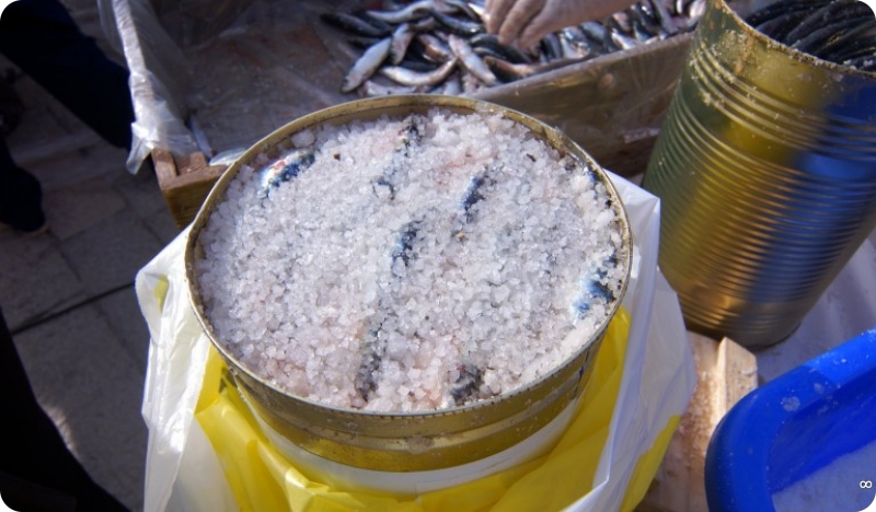 U Fažani počinje borba za najbolje sardele-159823