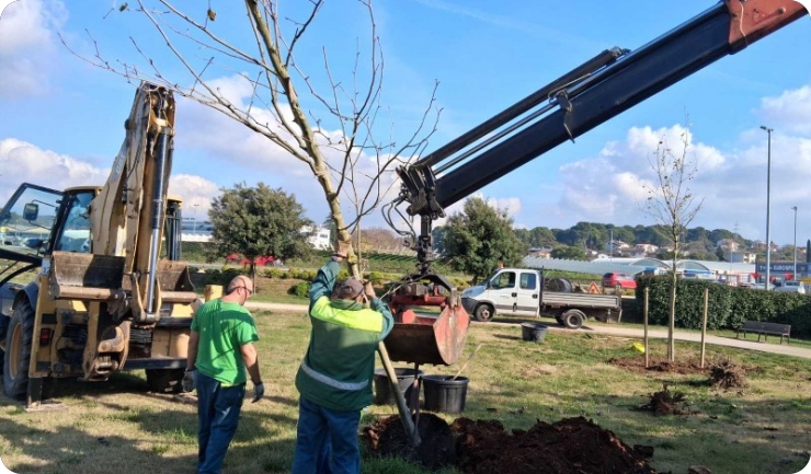 U Puli posađeno osam stabala, postavljena i edukativna ploča u Titovom parku-156508