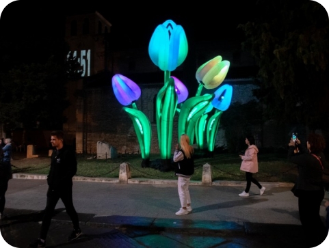 Pulski festival svjetla, VISUALIA, od ove je godine dijelom europskog projekta IMAGINE PEACE-153468