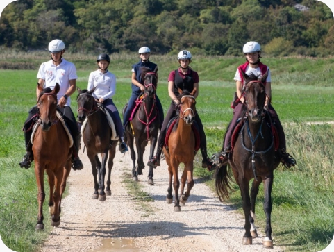 20 godina daljinskog jahanja u Barbanu: jubilarno izdanje kroz 1. kolo Croatia CUP-a-158928