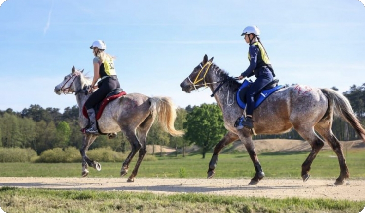 KK Istra četvrti ekipno u jakoj konkurenciji na Croatia Cupu-160294