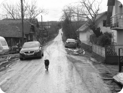 Popis naselja izvan Općina na ugroženom području-113511