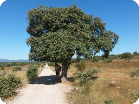 Predstavljanje knjige „Ispovijest na putu u Santiago“ u pulskoj knjižnici-158373