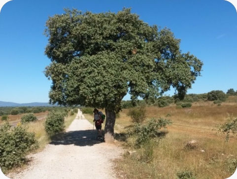Predstavljanje knjige „Ispovijest na putu u Santiago“ u pulskoj knjižnici-158373