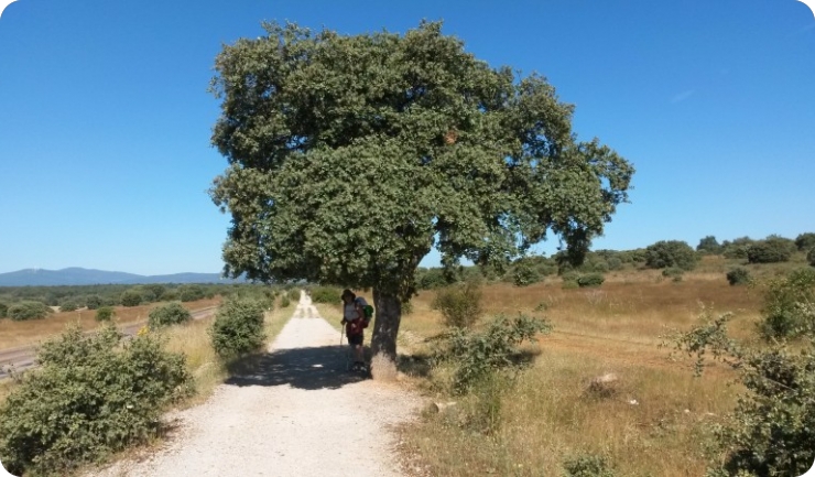 Predstavljanje knjige „Ispovijest na putu u Santiago“ u pulskoj knjižnici-158373