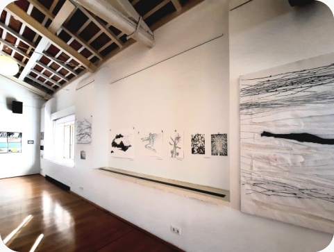 Izbor radova s III. Bijenala crteža Pula 2025. pred rovinjskom publikom-156375