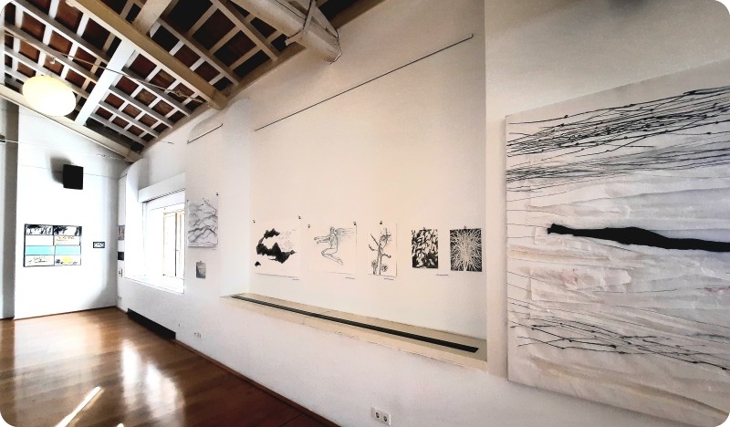 Izbor radova s III. Bijenala crteža Pula 2025. pred rovinjskom publikom-156375