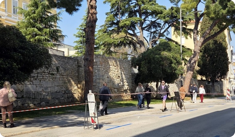 Zbog sumnje u stabilnost, stručnjaci proveli ispitivanje stabla u Carrarinoj ulici-159362