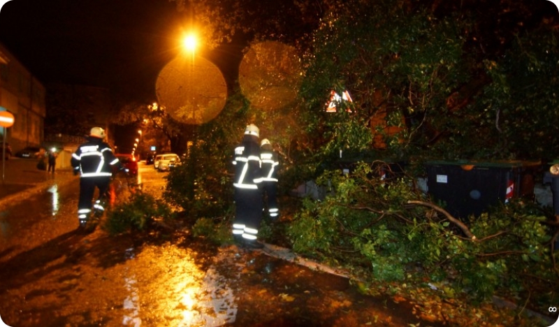 Bura ruši stabla po Puli, vatrogasci u akciji-VIDEO-63430