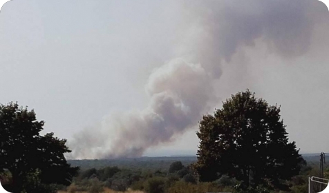 Požar kod Peroja, ekipe vatrogasaca su na terenu-81136