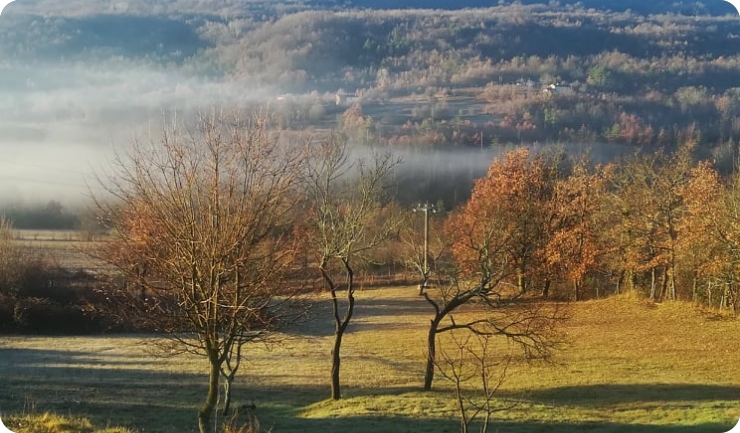 Kamo za Doček?-123551