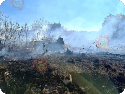 Požar kod Farnažina uspješno zaustavili umaški vatrogasci-126194