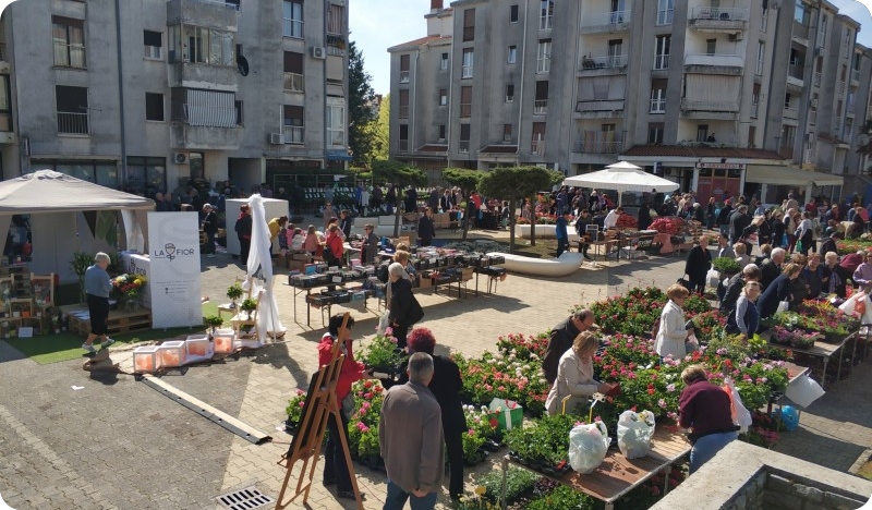 Labinjani, kako bi se trebao imenovati trg na Katurama?-148865