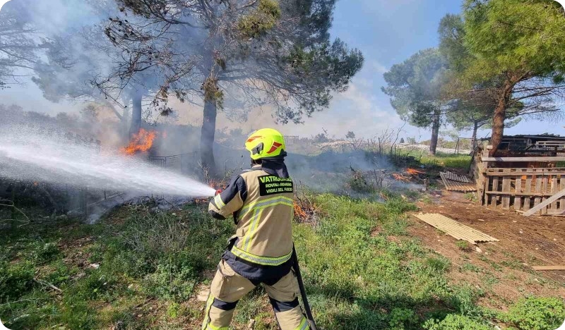 Palili korov pa izgubili nadzor nad vatrom-126527