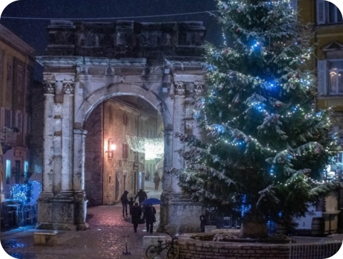 Nova godina je već bolja nego prošla…-157745