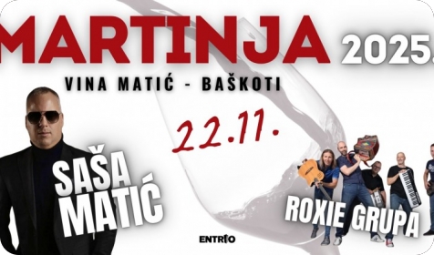 Saša Matić nastupa na Martinji kod Vina Matić u Baškotima kod Višnjana-156271