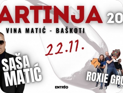 Saša Matić nastupa na Martinji kod Vina Matić u Baškotima kod Višnjana-156271