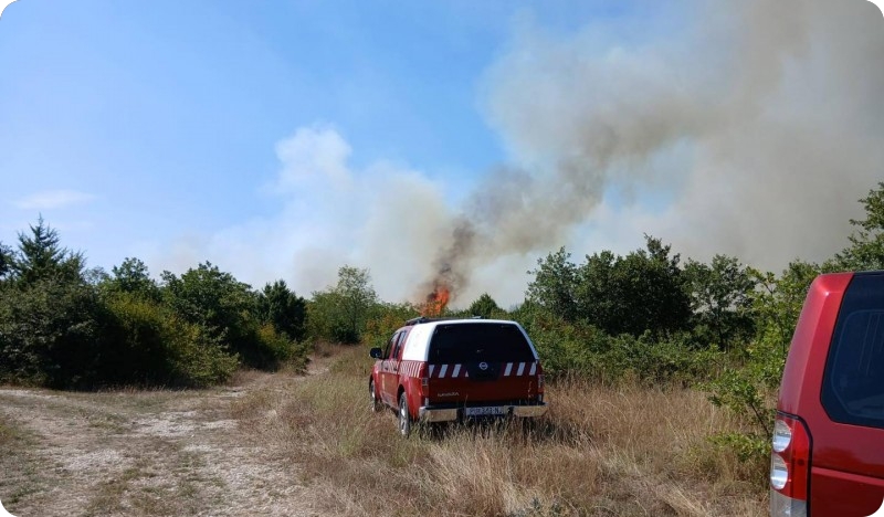 Dvostruka borba s vatrom: Nakon uvale Blaz, gori i kraj Marčane-154479