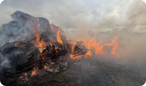 Brzom intervencijom vatrogasaca spriječeno širenje požara rolo bala u Modrušanima-156590