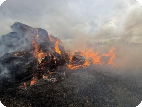 Brzom intervencijom vatrogasaca spriječeno širenje požara rolo bala u Modrušanima-156590