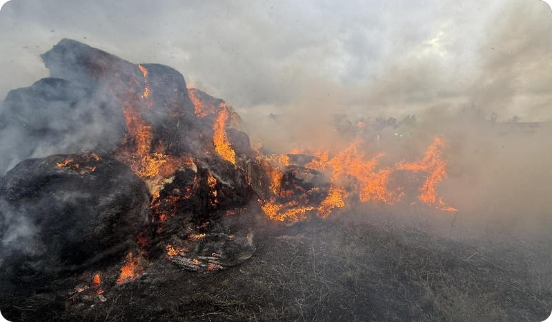 Brzom intervencijom vatrogasaca spriječeno širenje požara rolo bala u Modrušanima-156590