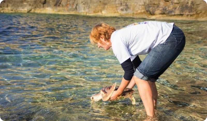 Kornjača Severina puštena u more-foto galerija-53525