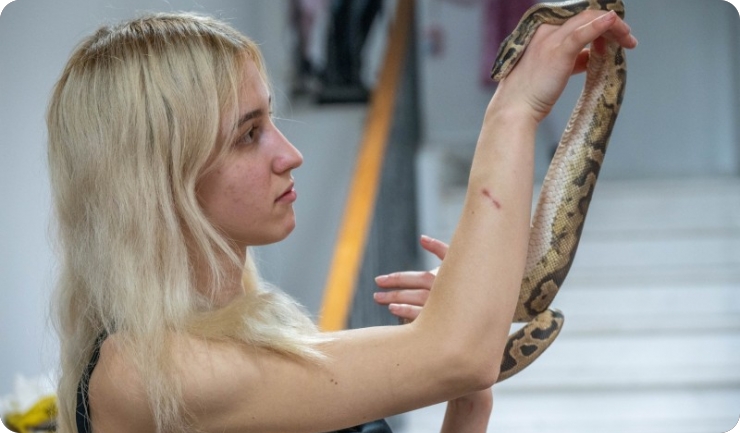 EgzoPula novo mjesto za ljubitelje raznih gmazova i reptila (FOTO i VIDEO)-158205