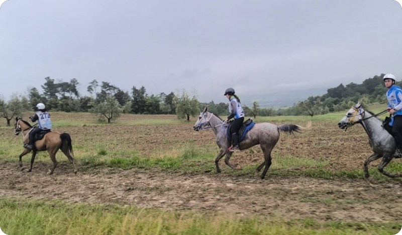Sjajan endurance vikend za Konjički klub Istra-160568