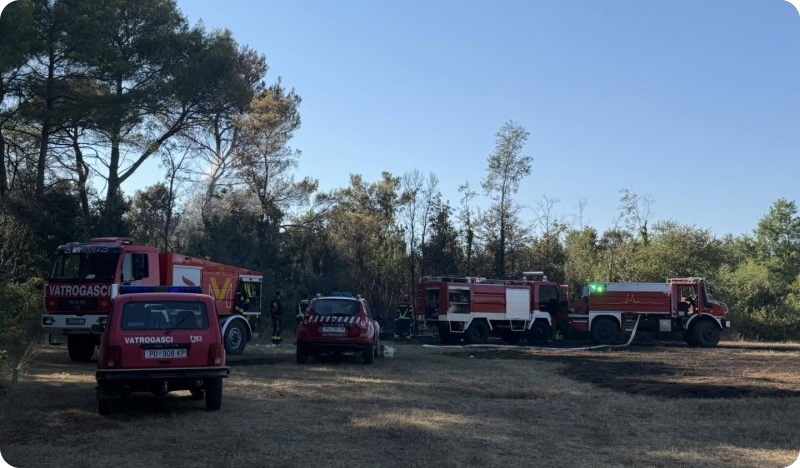 Gorjelo je danas i između Šišana i Ušićevih dvori-162835