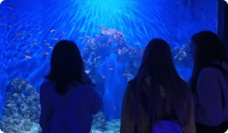 Aquarium Pula odobrava popust na ulaznice povodom Svjetskog dana turizma-139924