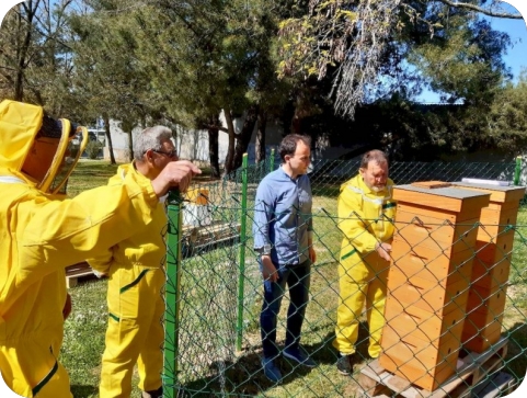 Svjetski dan pčela - porečki pčelari o urbanom pčelinjaku, ovogodišnjoj sezoni i planovima za međunarodnu konferenciju o medu-127039