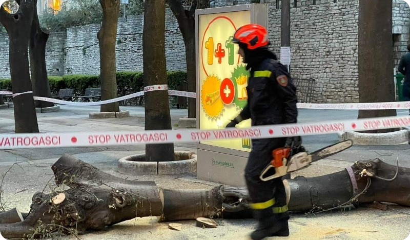 Vatrogasci zatvorili promet na Giardinima, vjetar srušio stablo VIDEO-126014