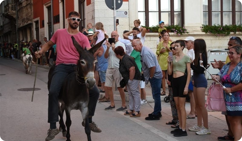 Bumbarska fešta uz Daleku obalu, Trku na tovarima, Paradu alegorijskih kola…FOTO-138794