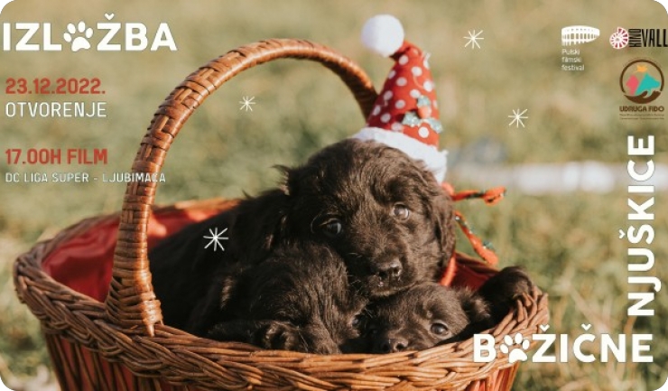 Izložba “Božićne njuškice” u Kinu Valli-133283