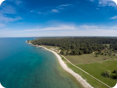 Mladen Ćoza na čelu NP-a Brijuni do izbora novog ravnatelja-162373