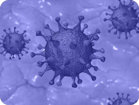 Pet osoba prekršilo mjeru samoizolacije pa dobili novčane kazne-113595