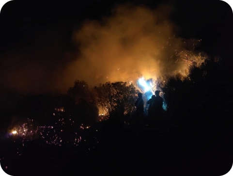 Požar na području Makarske rivijere gasilo oko 120 vatrogasaca-121818