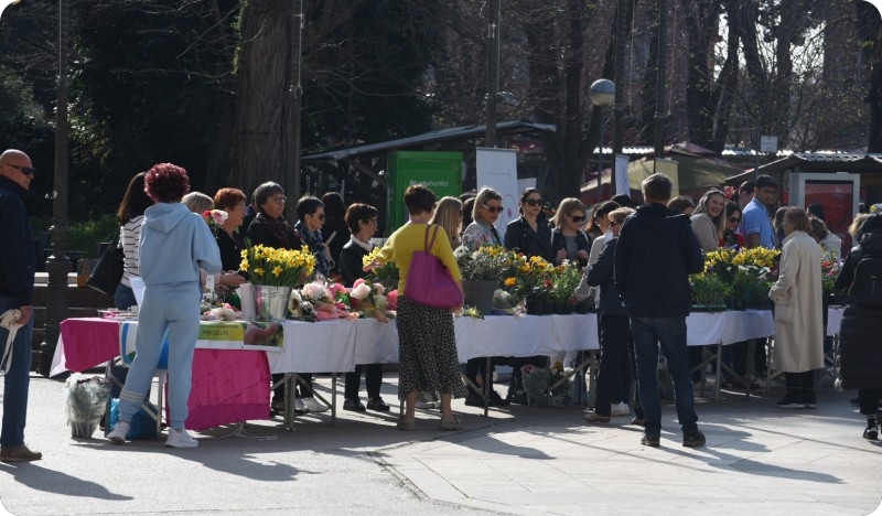 Na pulskoj tržnici narcisi, edukacija i podrška - pridružite se akciji-159268