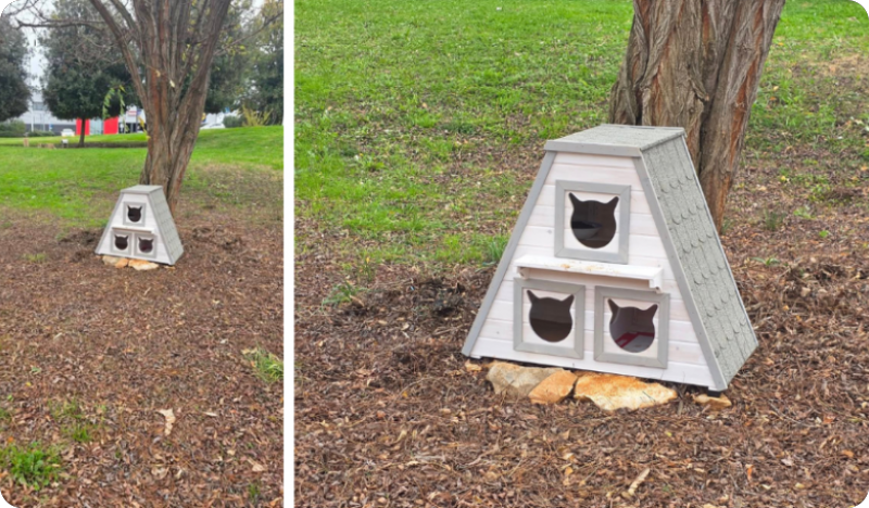 Mace u Rovinju dobile kućicu i zdjelice zahvaljujući volonterkama-156852