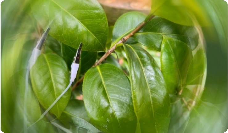 ‘‘Djeca zarobljena u virtualnom svijetu’‘, izložba ‘‘JUFT!’‘, radionice, koncerti, filmovi…-141258