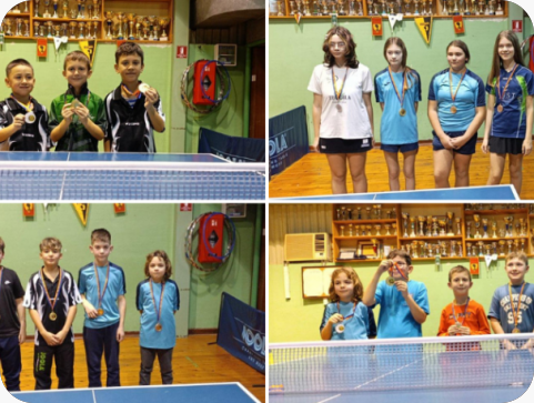 Vrsarski stolnotenisači s maksimalnim učinkom na svim frontama-158083