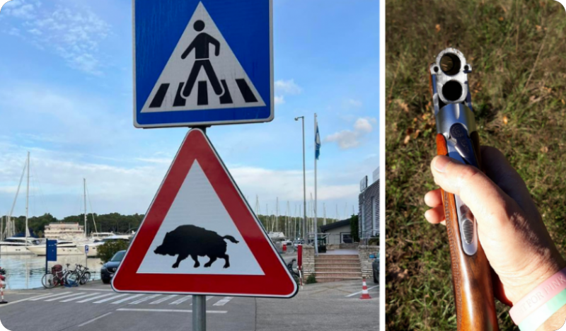 Oprez! Izlučivanje divljači na području od Velog vrha do Šijane-148551